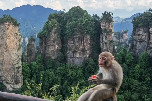Zhangjiajie Tourism