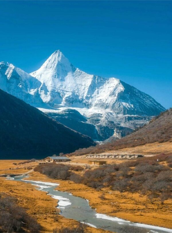 05160b108115cedd0fdbadb55c2e2730 (1)