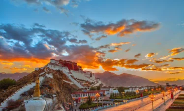 5441f5d6eb634a4c9efce6fb92815b0e