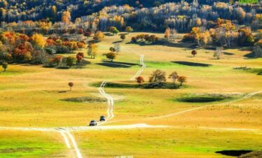 585053828d8f7f14ca5fa9bdad506be3